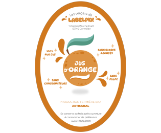 Étiquette ovale personnalisée pour jus d’orange avec illustration d’une orange et design artisanal orange et blanc