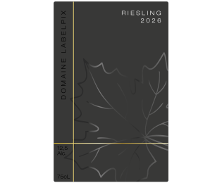 Étiquette 70 × 110 mm pour Riesling d’Alsace, fond sombre avec lignes en dorure et illustration de feuille en vernis brillant
