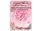 Parfumerie rose