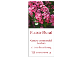 Plaisir Floral