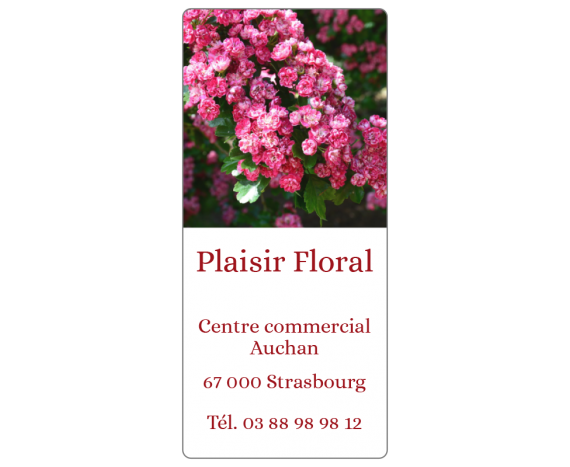 Plaisir Floral