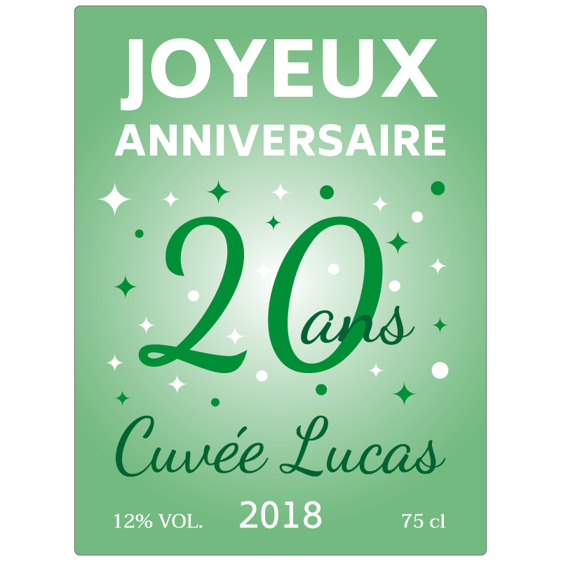 Carte Anniversaire Bouteille de Champagne 20 ans 24x10 cm NEUF